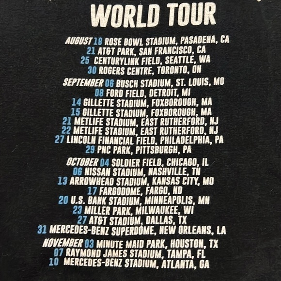 Ed Sheeran Divide World Tour Concert Hoodie Sweatshirt Black Size L - Picture 9 of 9